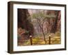 Autumn Colors, Xihai (West Sea) Valley, Mount Huangshan (Yellow Mountain), Anhui Province-Jochen Schlenker-Framed Photographic Print