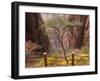 Autumn Colors, Xihai (West Sea) Valley, Mount Huangshan (Yellow Mountain), Anhui Province-Jochen Schlenker-Framed Photographic Print