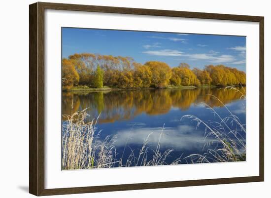 Autumn Colour and Clutha River at Kaitangata, Near Balclutha, New Zealand-David Wall-Framed Photographic Print