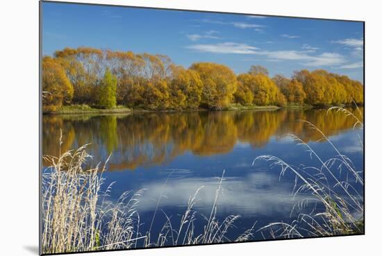 Autumn Colour and Clutha River at Kaitangata, Near Balclutha, New Zealand-David Wall-Mounted Photographic Print