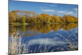 Autumn Colour and Clutha River at Kaitangata, Near Balclutha, New Zealand-David Wall-Mounted Photographic Print