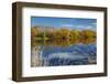 Autumn Colour and Clutha River at Kaitangata, Near Balclutha, New Zealand-David Wall-Framed Photographic Print