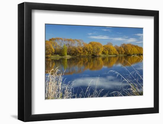 Autumn Colour and Clutha River at Kaitangata, Near Balclutha, New Zealand-David Wall-Framed Photographic Print