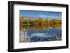 Autumn Colour and Clutha River at Kaitangata, Near Balclutha, New Zealand-David Wall-Framed Photographic Print