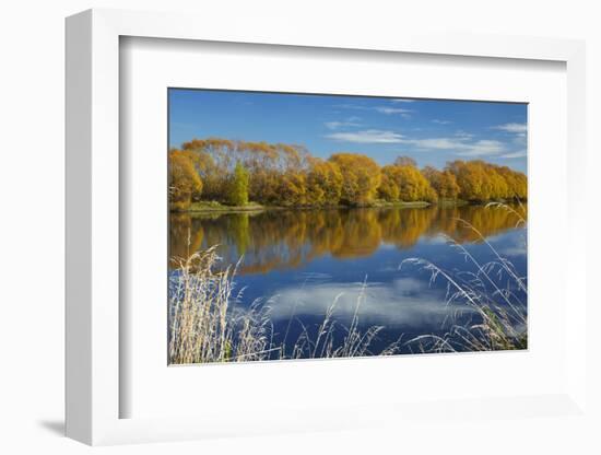 Autumn Colour and Clutha River at Kaitangata, Near Balclutha, New Zealand-David Wall-Framed Photographic Print