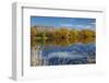 Autumn Colour and Clutha River at Kaitangata, Near Balclutha, New Zealand-David Wall-Framed Photographic Print