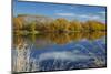 Autumn Colour and Clutha River at Kaitangata, Near Balclutha, New Zealand-David Wall-Mounted Photographic Print