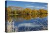 Autumn Colour and Clutha River at Kaitangata, Near Balclutha, New Zealand-David Wall-Stretched Canvas