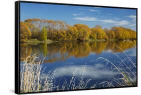 Autumn Colour and Clutha River at Kaitangata, Near Balclutha, New Zealand-David Wall-Framed Stretched Canvas