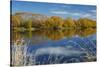 Autumn Colour and Clutha River at Kaitangata, Near Balclutha, New Zealand-David Wall-Stretched Canvas