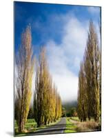 Autumn Colour and Wanganui, Raetihi Road, near Wanganui, North Island, New Zealand-David Wall-Mounted Photographic Print