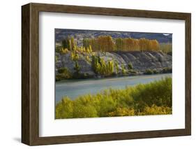 Autumn Colour at Bannockburn, and Kawarau Arm of Lake Dunstan, South Island, New Zealand-David Wall-Framed Photographic Print