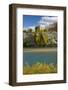 Autumn Colour at Bannockburn, and Kawarau Arm of Lake Dunstan, South Island, New Zealand-David Wall-Framed Photographic Print