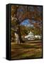 Autumn Colour, Botanic Gardens, Dunedin, Otago, South Island, New Zealand-David Wall-Framed Stretched Canvas