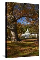 Autumn Colour, Botanic Gardens, Dunedin, Otago, South Island, New Zealand-David Wall-Stretched Canvas