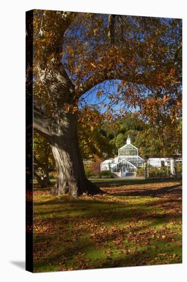 Autumn Colour, Botanic Gardens, Dunedin, Otago, South Island, New Zealand-David Wall-Stretched Canvas