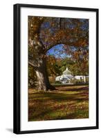 Autumn Colour, Botanic Gardens, Dunedin, Otago, South Island, New Zealand-David Wall-Framed Photographic Print