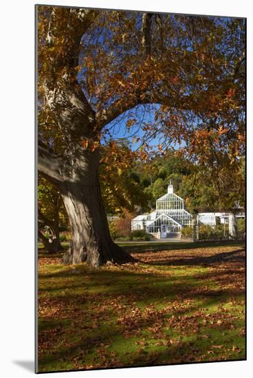 Autumn Colour, Botanic Gardens, Dunedin, Otago, South Island, New Zealand-David Wall-Mounted Photographic Print