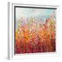 Autumn Colour II-Sandy Dooley-Framed Art Print