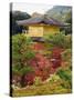 Autumn Colour Leaves, Golden Temple, Kinkaku Ji (Kinkakuji), Dating from 1397, Kyoto, Japan, Asia-Christian Kober-Stretched Canvas