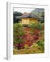 Autumn Colour Leaves, Golden Temple, Kinkaku Ji (Kinkakuji), Dating from 1397, Kyoto, Japan, Asia-Christian Kober-Framed Photographic Print