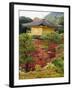 Autumn Colour Leaves, Golden Temple, Kinkaku Ji (Kinkakuji), Dating from 1397, Kyoto, Japan, Asia-Christian Kober-Framed Photographic Print