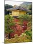 Autumn Colour Leaves, Golden Temple, Kinkaku Ji (Kinkakuji), Dating from 1397, Kyoto, Japan, Asia-Christian Kober-Mounted Photographic Print