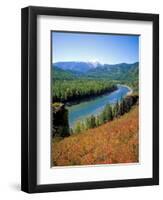 Autumn Colours and Katun River, Katunsky Zapovednik, Altai Mountains, Russia-Igor Shpilenok-Framed Premium Photographic Print