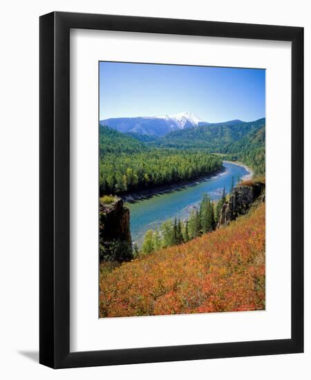 Autumn Colours and Katun River, Katunsky Zapovednik, Altai Mountains, Russia-Igor Shpilenok-Framed Premium Photographic Print