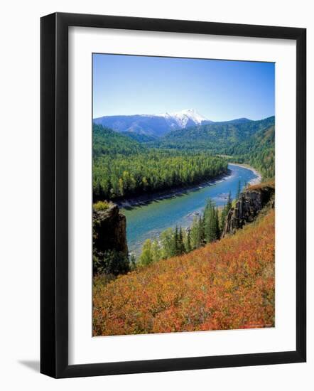 Autumn Colours and Katun River, Katunsky Zapovednik, Altai Mountains, Russia-Igor Shpilenok-Framed Photographic Print
