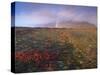 Autumn Colours and Rainbow over Illuklettar Near Skaftafellsjokull Glacier Seen in the Distance-Patrick Dieudonne-Stretched Canvas