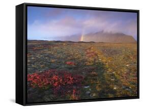 Autumn Colours and Rainbow over Illuklettar Near Skaftafellsjokull Glacier Seen in the Distance-Patrick Dieudonne-Framed Stretched Canvas