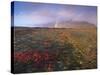 Autumn Colours and Rainbow over Illuklettar Near Skaftafellsjokull Glacier Seen in the Distance-Patrick Dieudonne-Stretched Canvas