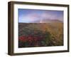 Autumn Colours and Rainbow over Illuklettar Near Skaftafellsjokull Glacier Seen in the Distance-Patrick Dieudonne-Framed Photographic Print