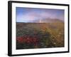 Autumn Colours and Rainbow over Illuklettar Near Skaftafellsjokull Glacier Seen in the Distance-Patrick Dieudonne-Framed Photographic Print