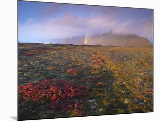 Autumn Colours and Rainbow over Illuklettar Near Skaftafellsjokull Glacier Seen in the Distance-Patrick Dieudonne-Mounted Photographic Print