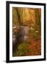 Autumn Colours around the River Teign and Hannicombe Wood Near to Fingle Bridge-Julian Elliott-Framed Photographic Print