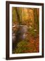 Autumn Colours around the River Teign and Hannicombe Wood Near to Fingle Bridge-Julian Elliott-Framed Photographic Print