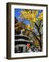 Autumn Colours at a Temple in Fragrant Hills Park in the Western Hills, Beijing, China-Kober Christian-Framed Photographic Print