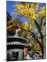 Autumn Colours at a Temple in Fragrant Hills Park in the Western Hills, Beijing, China-Kober Christian-Mounted Photographic Print