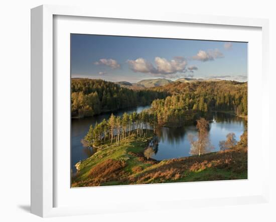 Autumn Colours at Tarn Hows Nearr Hawkshead, Lake District, Cumbria, England-Gavin Hellier-Framed Photographic Print