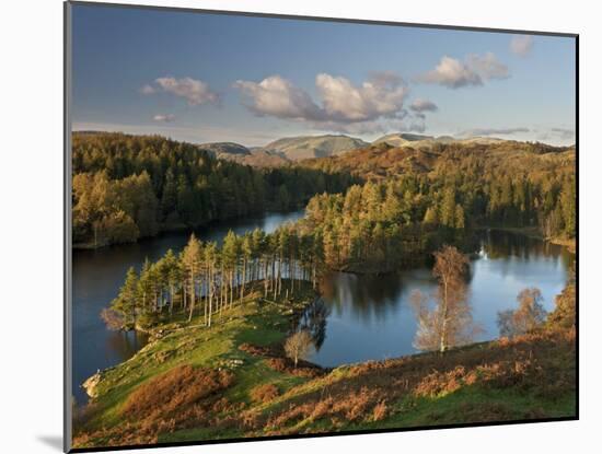 Autumn Colours at Tarn Hows Nearr Hawkshead, Lake District, Cumbria, England-Gavin Hellier-Mounted Photographic Print