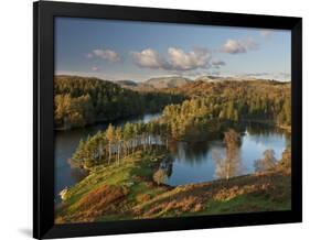 Autumn Colours at Tarn Hows Nearr Hawkshead, Lake District, Cumbria, England-Gavin Hellier-Framed Photographic Print