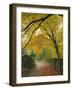 Autumn Colours Near Grasmere, Lake District National Park, Cumbria, England, UK-Roy Rainford-Framed Photographic Print