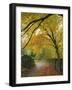 Autumn Colours Near Grasmere, Lake District National Park, Cumbria, England, UK-Roy Rainford-Framed Photographic Print