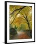 Autumn Colours Near Grasmere, Lake District National Park, Cumbria, England, UK-Roy Rainford-Framed Photographic Print