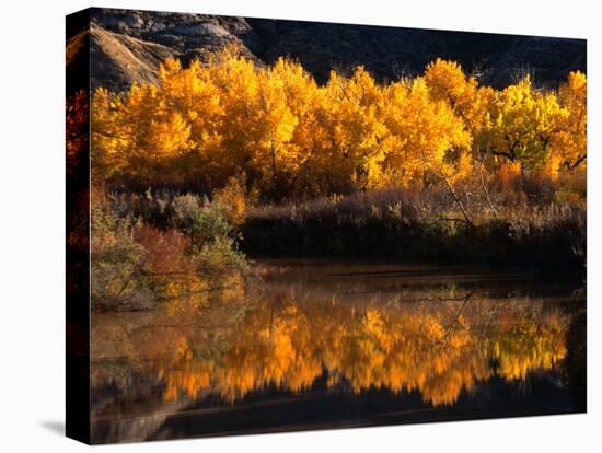 Autumn Colours of Drumheller Valley in Alberta, Drumheller Valley, Canada-Mark Newman-Stretched Canvas