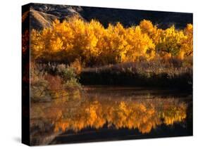 Autumn Colours of Drumheller Valley in Alberta, Drumheller Valley, Canada-Mark Newman-Stretched Canvas