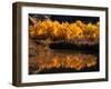 Autumn Colours of Drumheller Valley in Alberta, Drumheller Valley, Canada-Mark Newman-Framed Premium Photographic Print