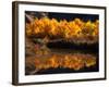 Autumn Colours of Drumheller Valley in Alberta, Drumheller Valley, Canada-Mark Newman-Framed Photographic Print